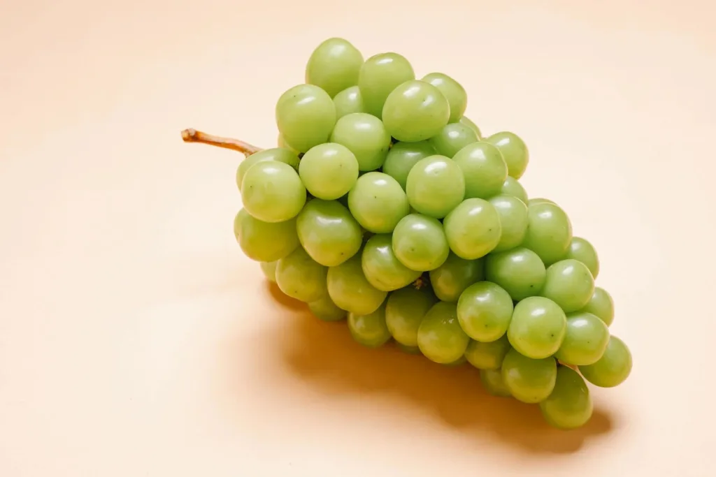 Conclusion: Grape Seed Extract Benefits